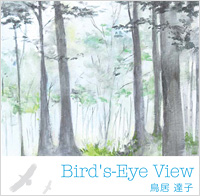 Bird’s-Eye View ^  Bq
